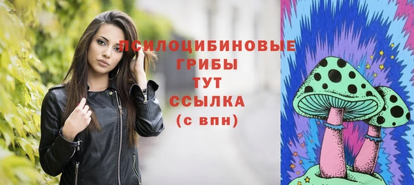 МДМА Алексеевка