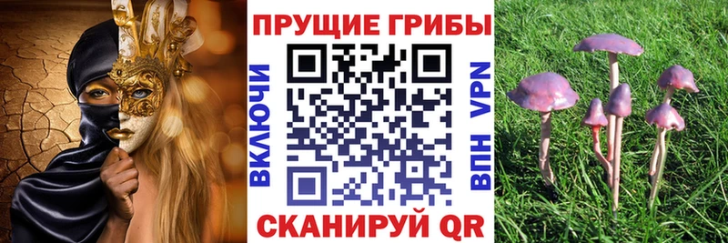 Псилоцибиновые грибы прущие грибы  Нытва 